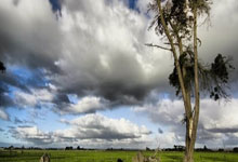 完美体育官网：这场打个60分！里夫斯稳中求胜 11中5拿到12分8板3助2断.