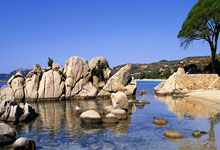 完美体育官网：弗里克带领巴萨连续19场不败，追平克鲁伊夫纪录.